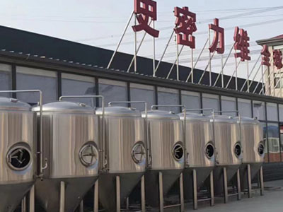 桥西精酿啤酒设备厂—如何判断精酿啤酒设备的密封件需要更换？